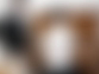 Embracing Piano Lessons in Quincy, MA: A Journey of Music and Community