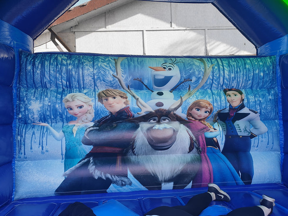 frozen Jumping Castle Hire