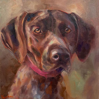 Dog portrait