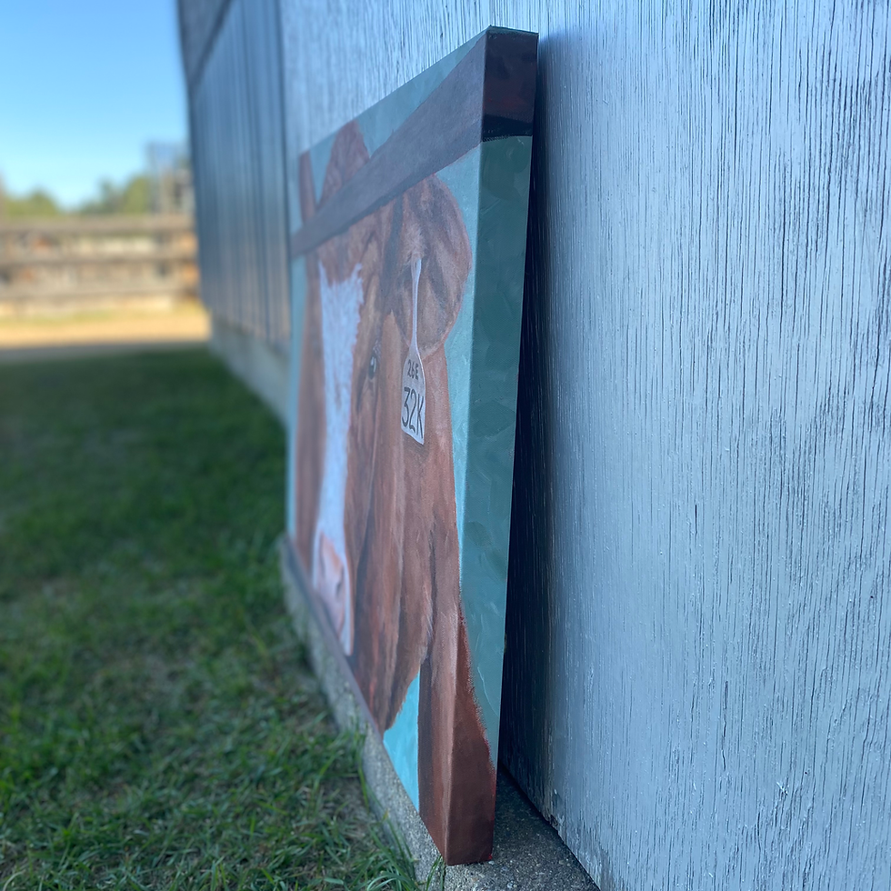 Thumbnail: Cow painting by Kristin Kueber Artist, Ranch and Farm Artist
