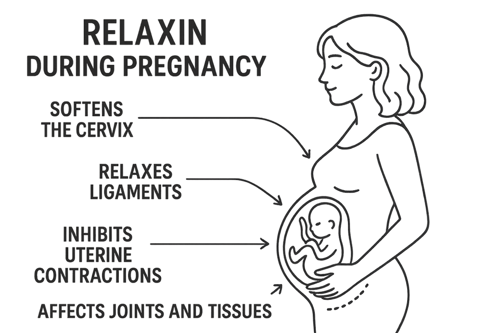 Infographic showing the effects of Relaxin during pregnancy, including softened cervix, relaxed ligaments, inhibited uterine contractions, and changes to joints and tissues.