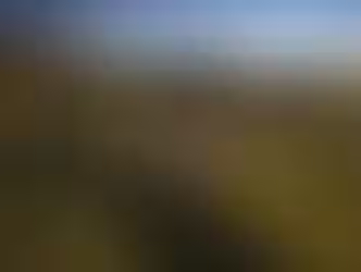 PNG has been descirbed as a wonderful place