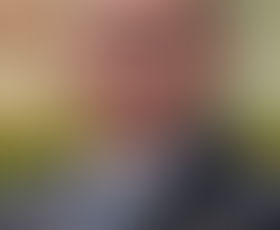 Australian Ministers at COP27 in Egypt