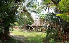 Remote Papua New Guinea- Prof Monica Minnegal.jpg