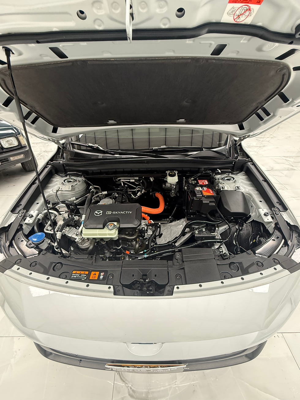 Miniatura: MAZDA MX30
