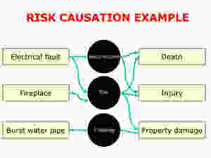 Risk Causation Example