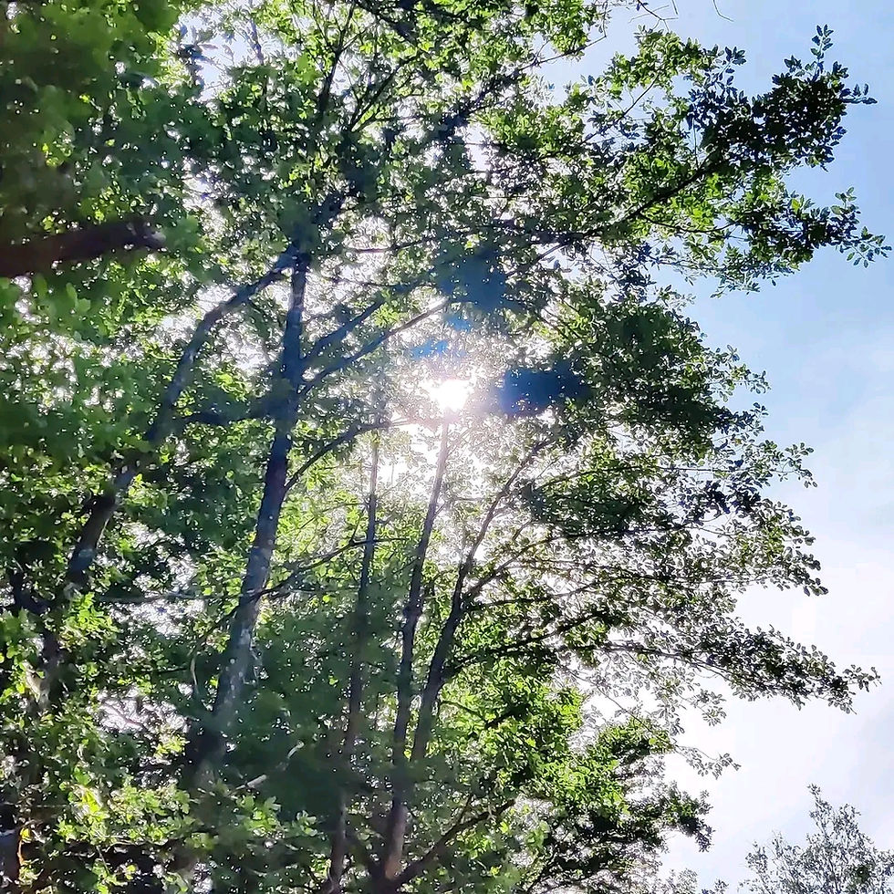 Brilliant / Formidable