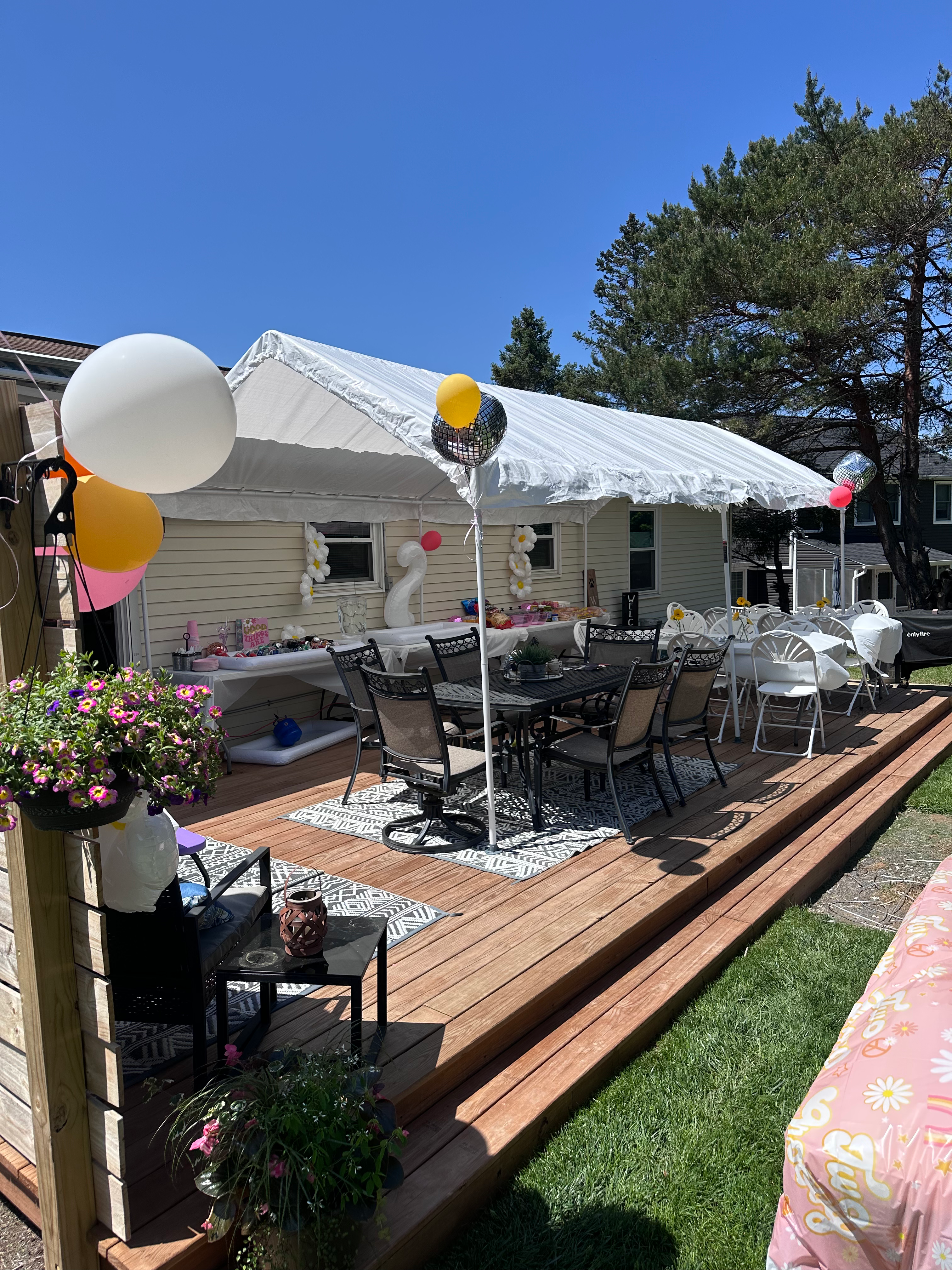 10' x 20' Canopy Tent - $75.00