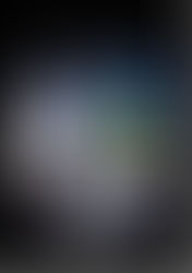 A Constituição Federal e a condenação criminal dos Congressistas