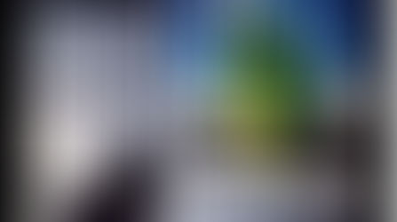 A Constituição Federal e a condenação criminal dos Congressistas