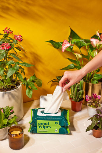 Lifestyle shot hand reaching for Good Wipes packaging among houseplants commercial product photography Crawford Captures