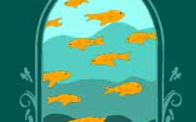 Pattern - Go Fish-10.jpg