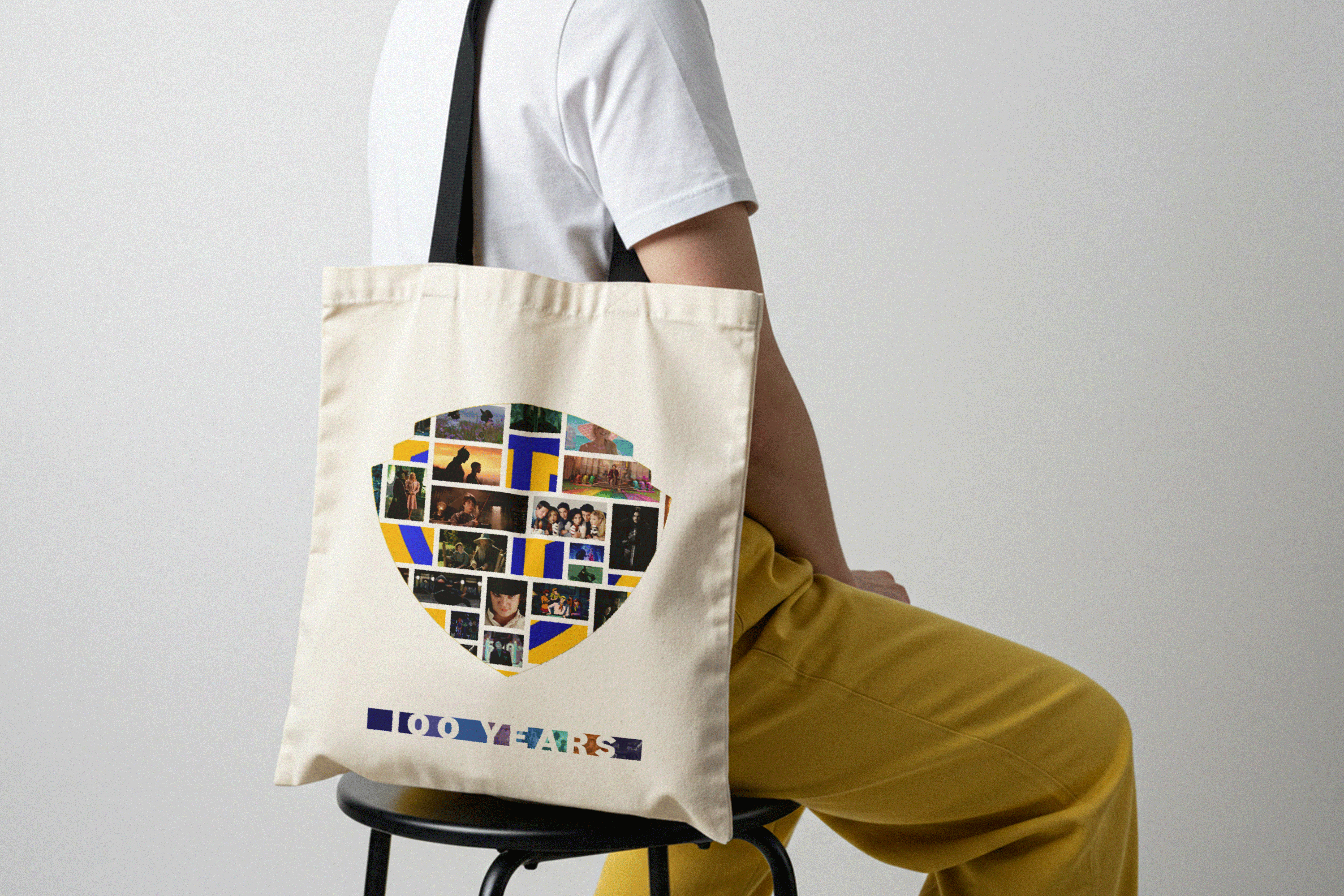 Warner-Brothers---Logo-Bag.gif