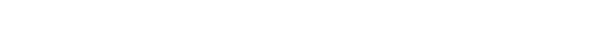 Bullet Description.png