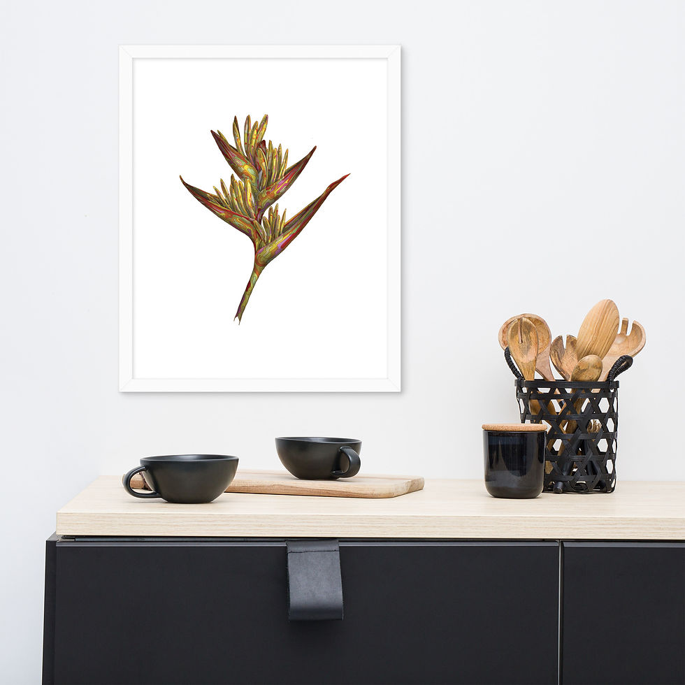Thumbnail: Bird of Paradise flower - Nature Inspired Framed Wall Art - Contemporary 