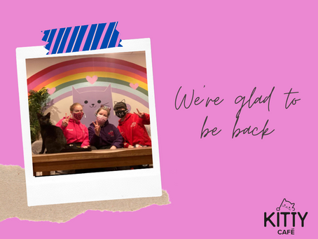 We're glad to be back...