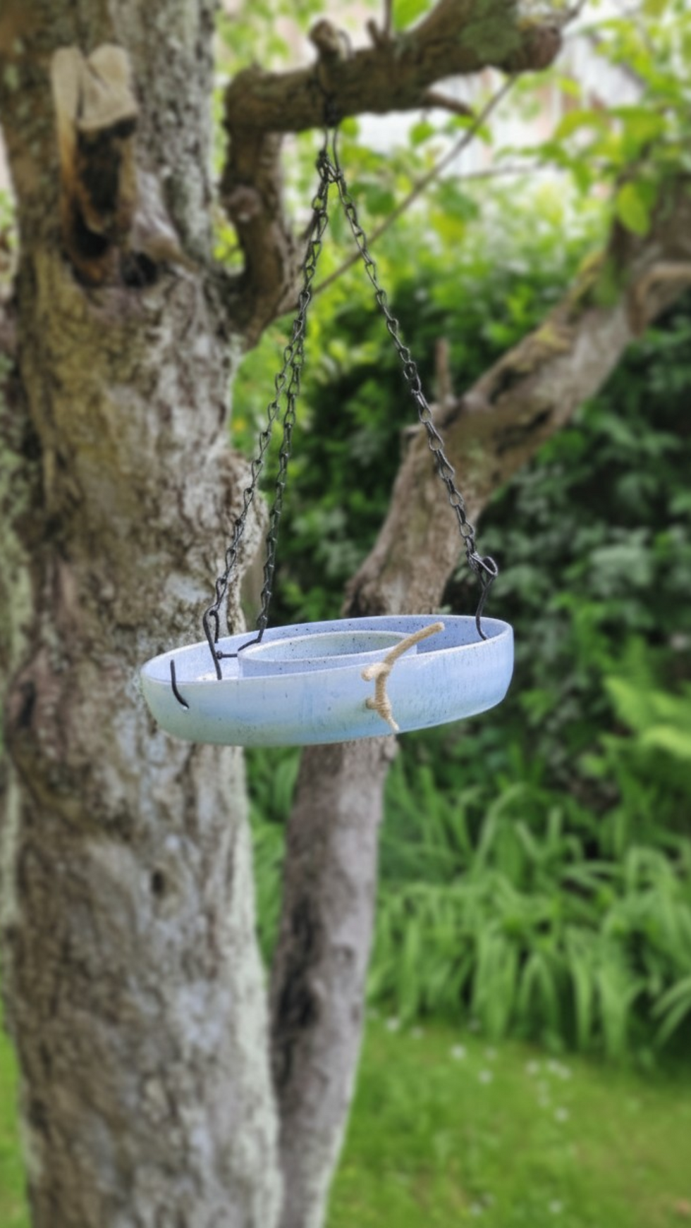 Miniature : Abreuvoir à oiseaux suspendu en céramique bleu clair dans un jardin