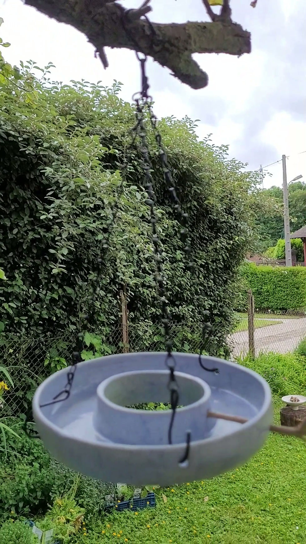 Miniature : Abreuvoir à oiseaux suspendu en céramique bleu clair dans un jardin