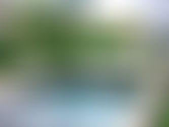 Updated landscape and hardscape around at this modern home is Goshen, Kentucky