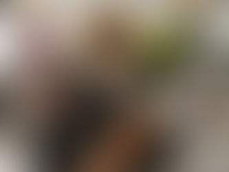 6月レッスンレポ