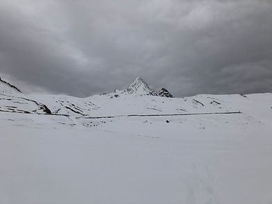 IMG_3692.jpeg