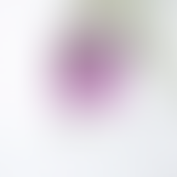 What The Heck Is A Pantone Color?