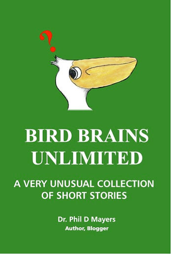 bird brains.jpg