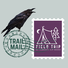 Trail Mail: What’s the Deal with Crows?