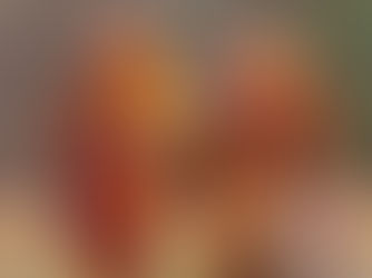 Tiny Joys, Long Walks, and Putting My Phone in a Drawer