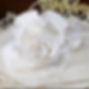 fondant flower_edited.jpg
