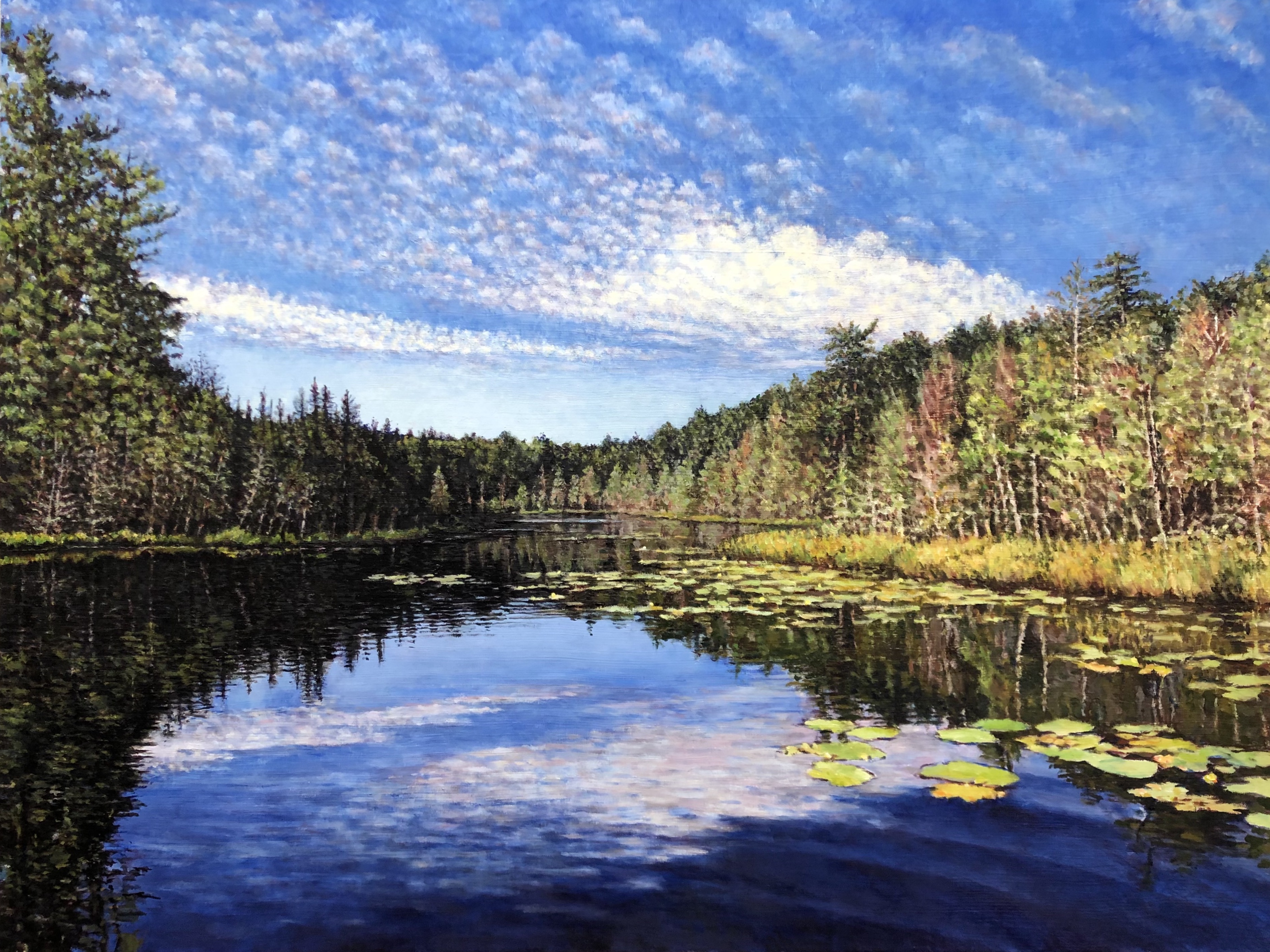 Morning on Harriet Lake