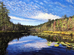 Morning on Harriet Lake