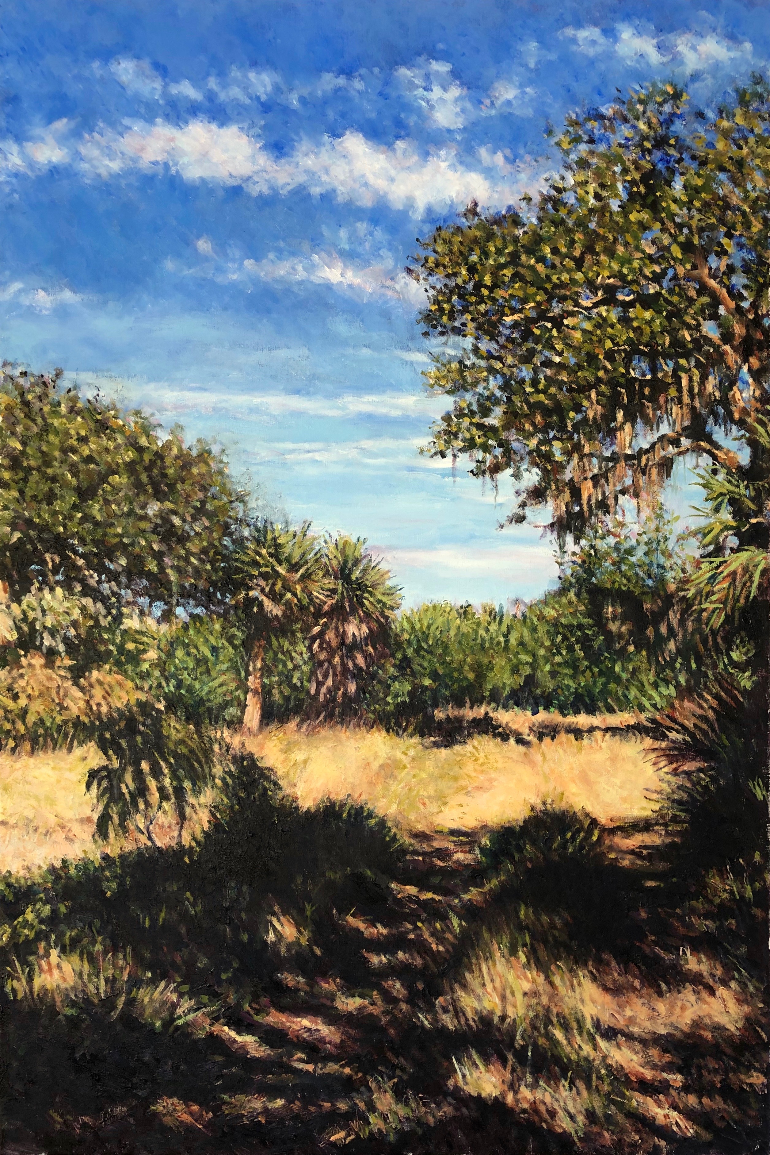 Path Through a Florida Cattle Ranch