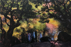 A Pond in a Japanese Garden