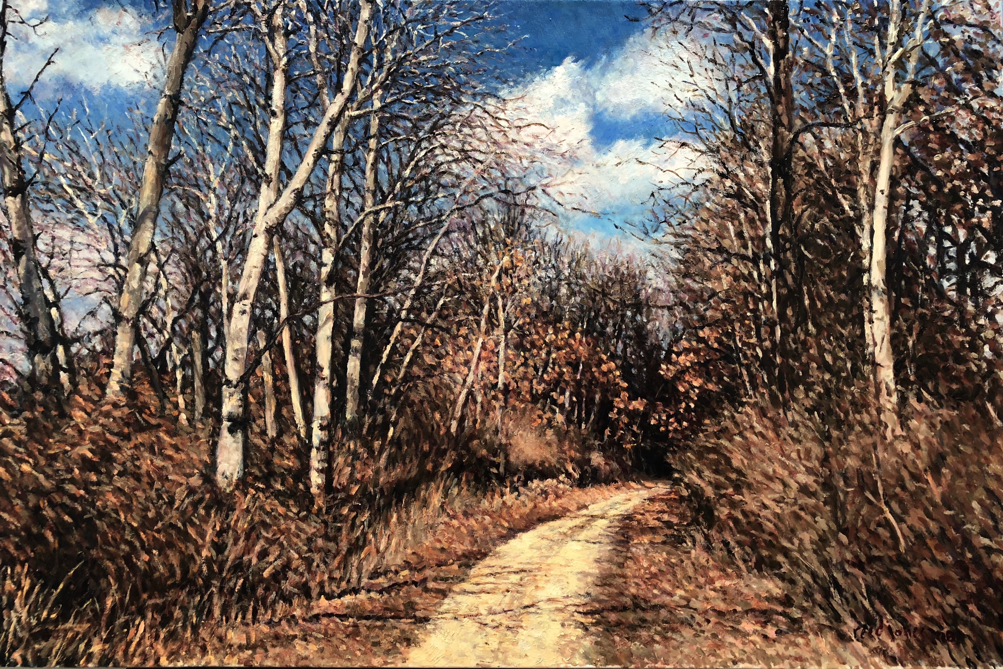 Autumn Path with Birches