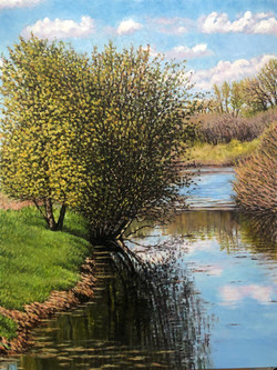 Willow Reflection