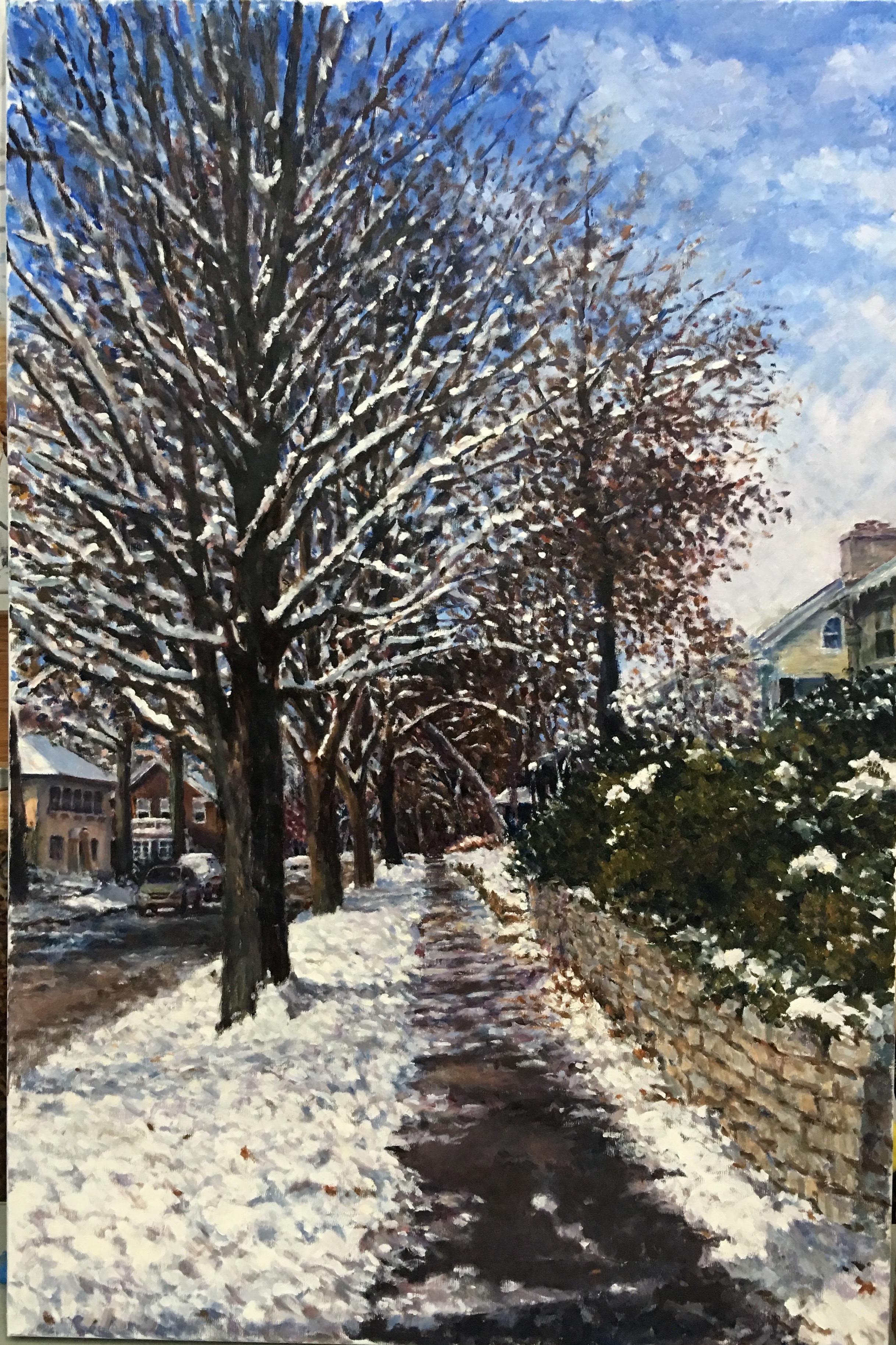Morning After a Late Winter Snowfall