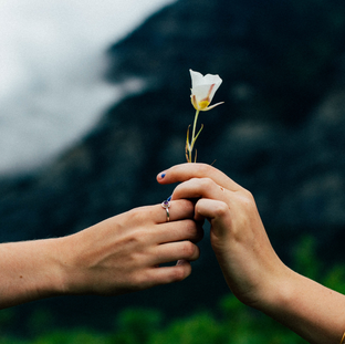 Generosity Sunday, Sunday 25th September