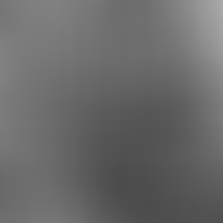 12th Sunday after Trinity, 22nd August 2021