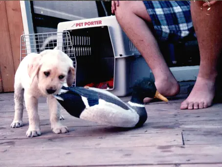 2026-02-08 Epiphany 5