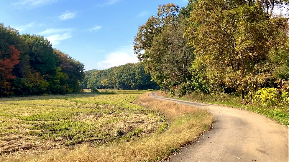 【終了】m(_ _)m🈵MY自転車でスポーツチャリ散歩・深秋ロングライド [85km]