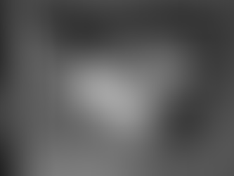 Senator Cotton Has Commanding Lead in Arkansas Senate Race