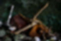 930208D7-48D3-4CA7-BA9C-7CCC4C66283A.JPEG