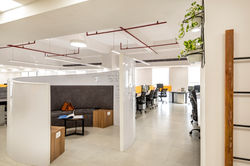Modern workplace design balancing geometric precision with soft collaborative spaces.