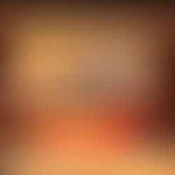 Dr. Wilton Fok received the Outstanding Teaching Award (Individual) 2016