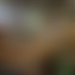 STEM Education Summer Courses developed for secondary school students in HKU Summer Institute 2018