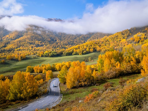 【秋風起駕駛攻略】7大危機逐個數 落葉=薄冰?天黑快咗點算好?🍂