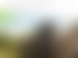 🌊 穿越600年的永恆運轉——西班牙拉諾裡亞水磨坊