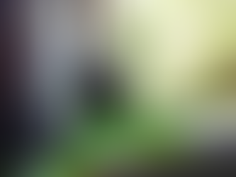 春日賞味期已到|同正新E·X1一齊出走,追住春天去!