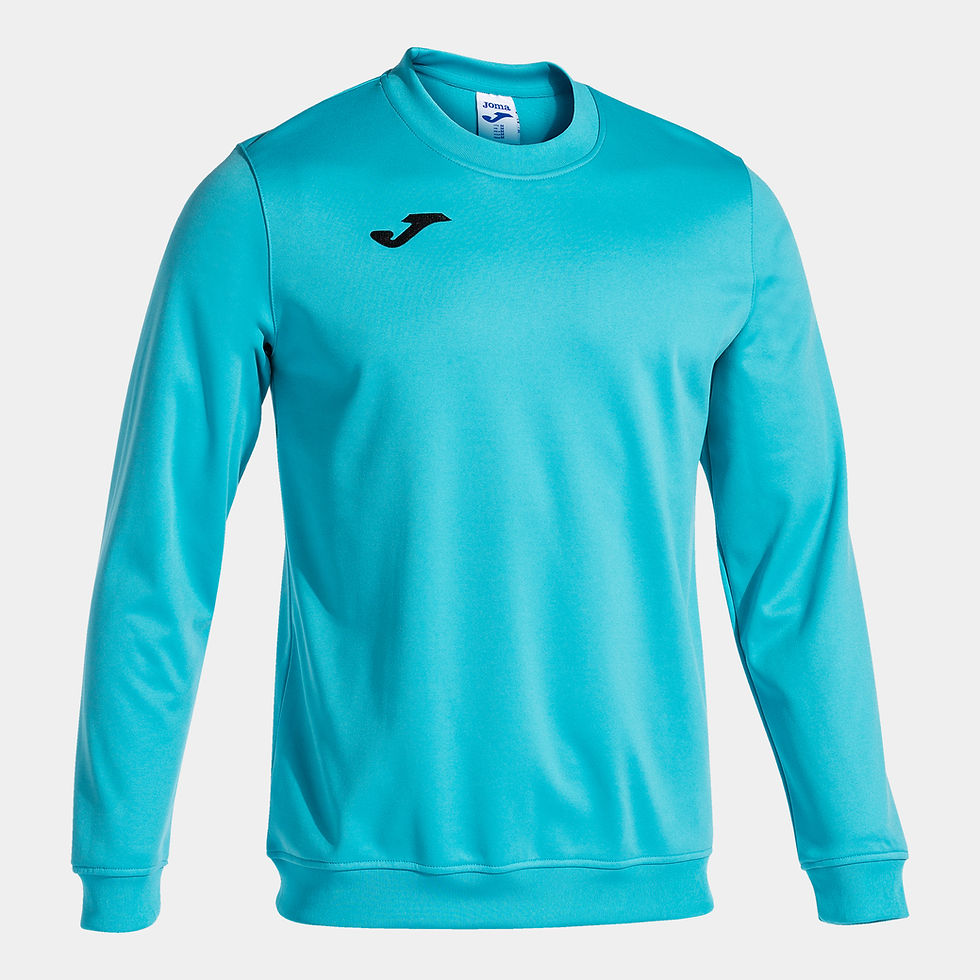 Miniatura: Vista frontal sudadera básica de la marca Joma modelo cairo en color turquesa